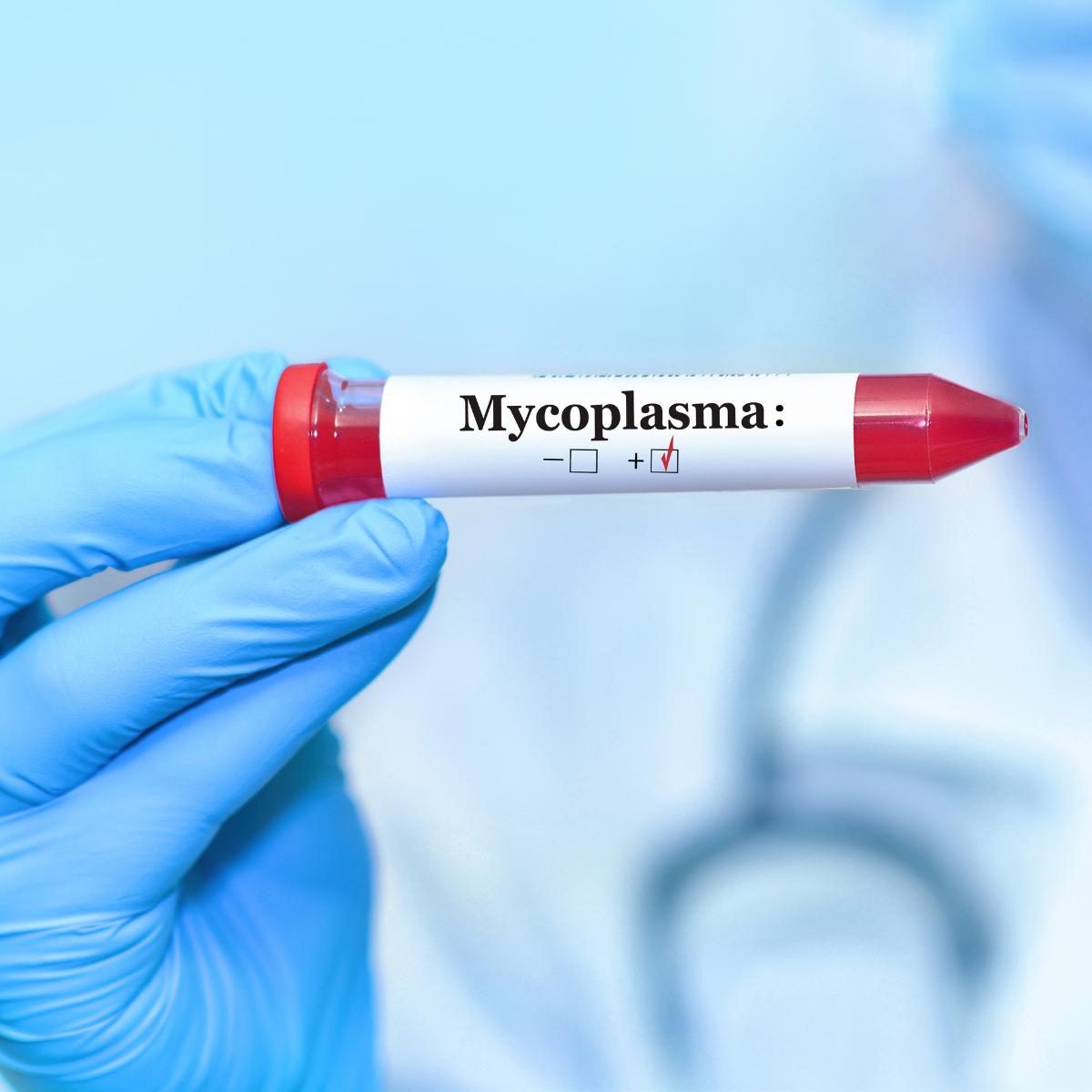 Ensuring Rigorous Validation in a GMP Environment -Assurer une validation rigoureuse en environnement BPF